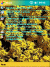 Free pocket pc themesArt Flowers2
