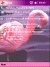 Free pocket pc themesFlamingo1