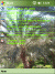 Free pocket pc themesOasis3