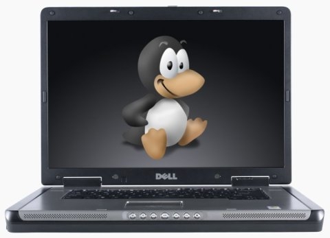ипотпал dell dell_laptop-with-linux