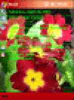 ипотпал pocketpc Primrose_thumb