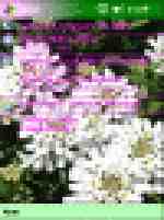 ипотпал pocketpc White_Spring_thumb