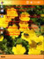 Снимка на ипотпалипотпал pocketpc Yellow_Blossoms_thumb.jpg